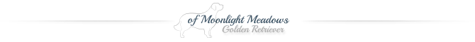 news_logo